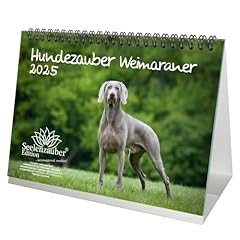 Weimaraner calendario tavolo usato  Spedito ovunque in Italia 