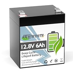 Tcbworth lifepo4 12v usato  Spedito ovunque in Italia 