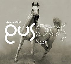 Arabian horse special d'occasion  Livré partout en France