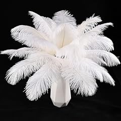 Tharaht white ostrich for sale  Delivered anywhere in USA 