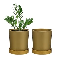 Meterxity pack plant for sale  Delivered anywhere in USA 