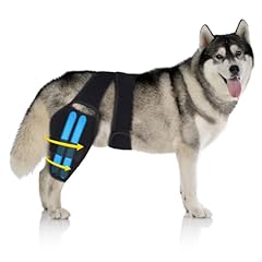 Pawfun dog knee for sale  Delivered anywhere in USA 