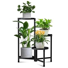 Lmgvrzk tier plant for sale  Delivered anywhere in USA 