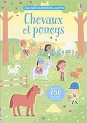 Chevaux poneys petits d'occasion  Livré partout en France