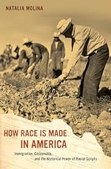 Race made america for sale  Delivered anywhere in USA 