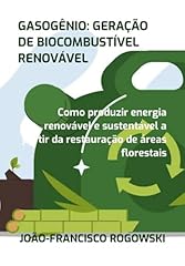 Gasogênio geração biocombus usato  Spedito ovunque in Italia 