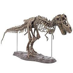 Rex dinosaur skeleton for sale  Delivered anywhere in USA 