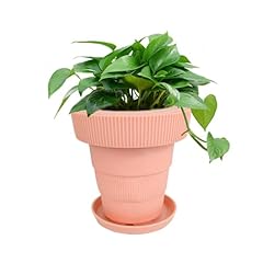 Pot fleur pliable d'occasion  Livré partout en France