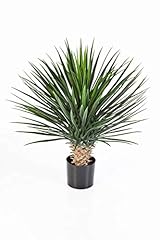 Artplants.de plastic yucca for sale  Delivered anywhere in UK