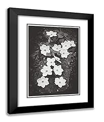 Artdirect ansel adams for sale  Delivered anywhere in USA 