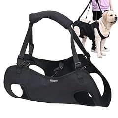 Carchino del cane gebraucht kaufen  Wird an jeden Ort in Deutschland
