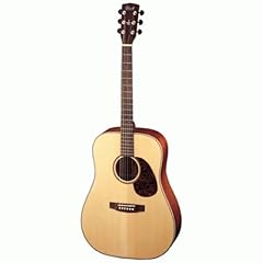 Cort ad810 gitarre gebraucht kaufen  Wird an jeden Ort in Deutschland
