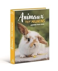 Agenda animaux mignons d'occasion  Livré partout en France