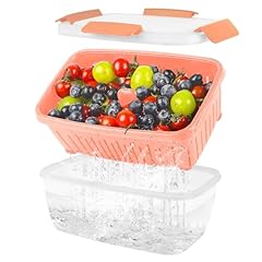 Shopwithgreen 68oz berry for sale  Delivered anywhere in USA 