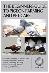Beginners guide pigeon for sale  Delivered anywhere in UK