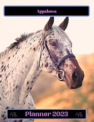 Appaloosa for sale  Delivered anywhere in USA 