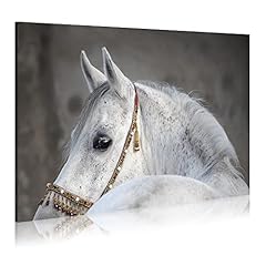 Wallsup decor horse for sale  Delivered anywhere in USA 