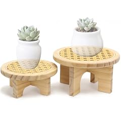 Bxaigr small plant for sale  Delivered anywhere in USA 