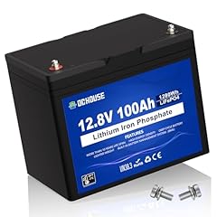 Batteria litio dchouse usato  Spedito ovunque in Italia 