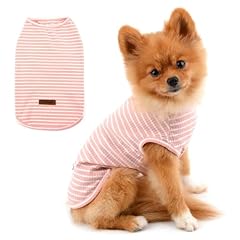 Paideful clothes small for sale  Delivered anywhere in UK