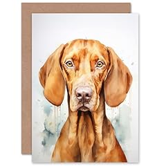 Artery8 hungarian vizsla for sale  Delivered anywhere in UK