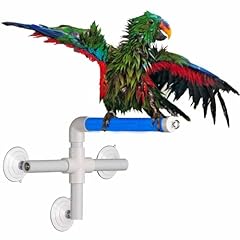 Super bird creations for sale  Delivered anywhere in USA 