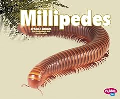 Millipedes for sale  Delivered anywhere in UK