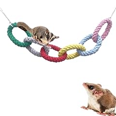 Sugar glider hanging for sale  Delivered anywhere in USA 
