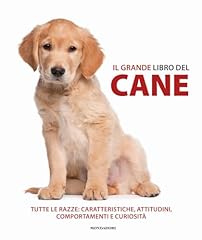 Grande libro del usato  Spedito ovunque in Italia 