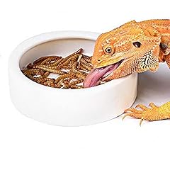 Runxf reptiles bowl for sale  Delivered anywhere in USA 