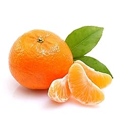 Tangerine seeds citrus for sale  Delivered anywhere in USA 