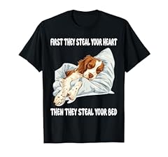 Brittany spaniel sleeping for sale  Delivered anywhere in USA 