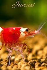 Red crystal shrimp for sale  Delivered anywhere in Ireland