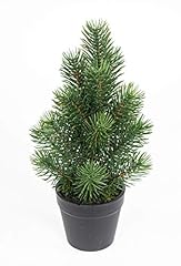 Mini tannenbaum topf gebraucht kaufen  Wird an jeden Ort in Deutschland