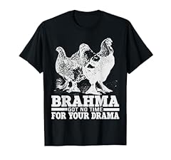 Brahma chicken breed for sale  Delivered anywhere in USA 