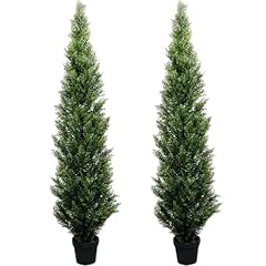 Feet pre potted for sale  Delivered anywhere in USA 