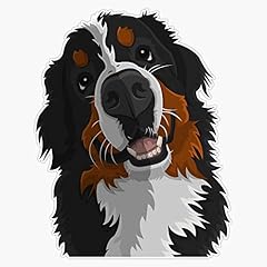 Bernese mountain dog for sale  Delivered anywhere in USA 