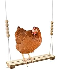 Chicken swing toy for sale  Delivered anywhere in USA 