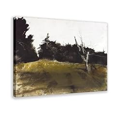 Andrew wyeth impression d'occasion  Livré partout en France