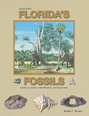 Florida fossils for sale  Delivered anywhere in USA 