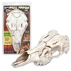 Mountain mike skull for sale  Delivered anywhere in USA 