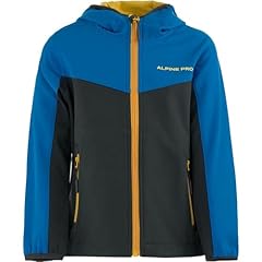 Alpine pro holdo usato  Spedito ovunque in Italia 