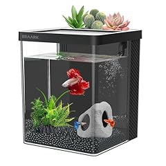 Eraark betta fish for sale  Delivered anywhere in USA 