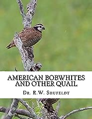 American bobwhites quail for sale  Delivered anywhere in UK
