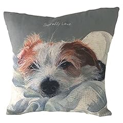 Jack russell scruffy for sale  Delivered anywhere in UK
