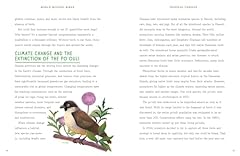Without birds save for sale  Delivered anywhere in UK