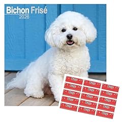 Bichon frise calendar for sale  Delivered anywhere in UK