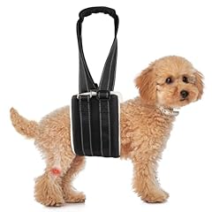 Chuiendi adjustable dog for sale  Delivered anywhere in UK