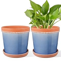 Inch plant pots for sale  Delivered anywhere in USA 