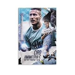 Xullong ciro immobile usato  Spedito ovunque in Italia 